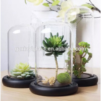 glass bell dome with wooden base, glass cover for artificial flower decoration miniascape